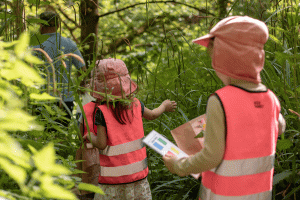 colour hunt at forest school