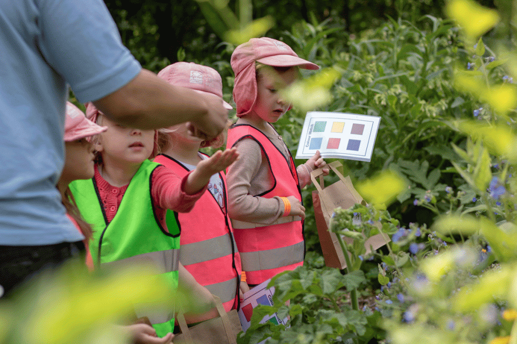 Colour and Nature Hunt at Forest School